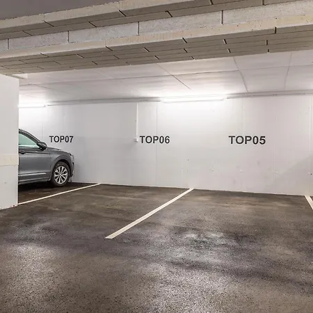 Neualm 5 - By Mynests * Schladming